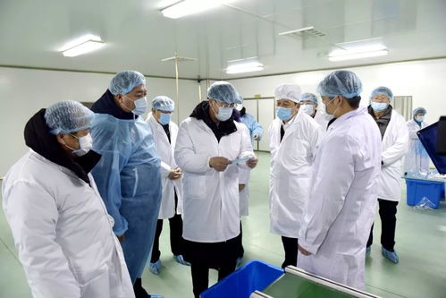 省委常委 常務副省長吳靖平深入輝南縣醫(yī)用防護用品生產(chǎn)企業(yè)進行調(diào)研